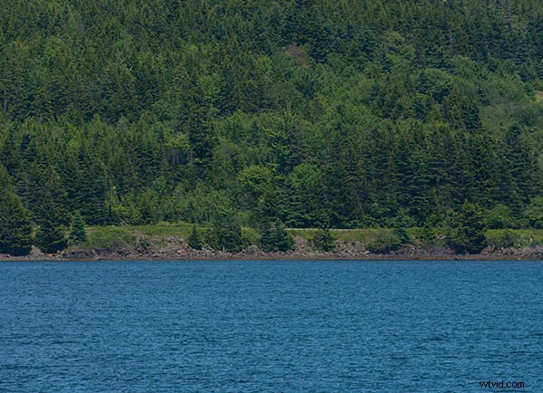 6 Expert Tips for Capturing Prize-Winning Landscape Photography