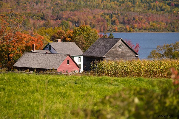 6 Expert Tips for Capturing Prize-Winning Landscape Photography