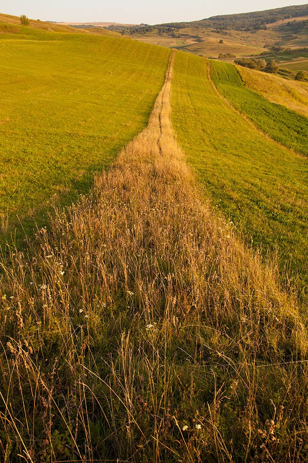 6 Expert Tips for Capturing Prize-Winning Landscape Photography