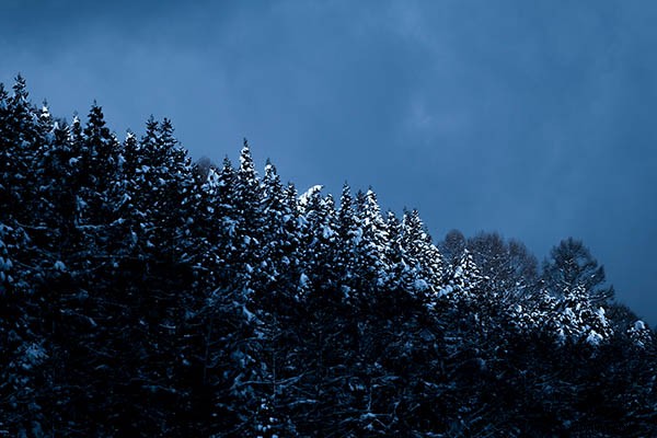 6 Expert Tips for Capturing Prize-Winning Landscape Photography