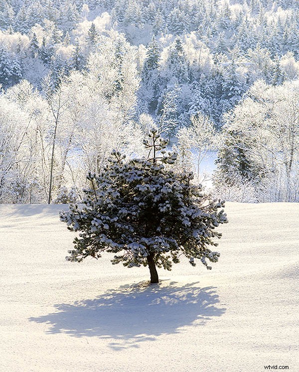 6 Expert Tips for Capturing Prize-Winning Landscape Photography