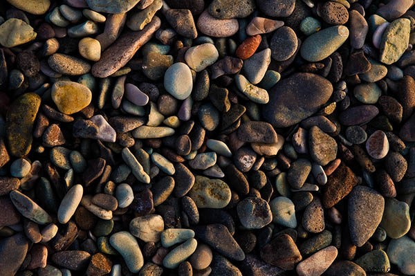 Master Photography: 12 Essential Composition Rules Every Pro Uses