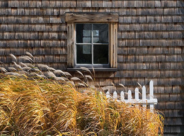 Master Photography: 12 Essential Composition Rules Every Pro Uses