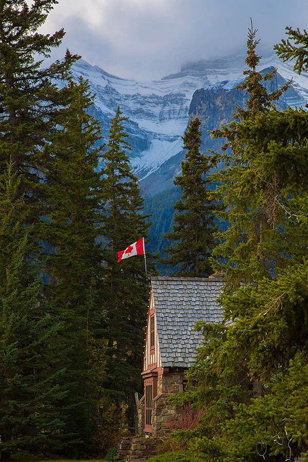 Master Photography: 12 Essential Composition Rules Every Pro Uses