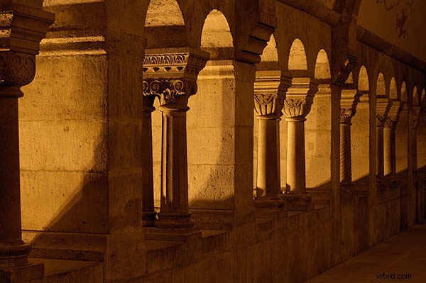 Master Photography: 12 Essential Composition Rules Every Pro Uses