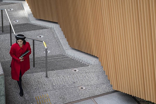 Master Photography: 12 Essential Composition Rules Every Pro Uses