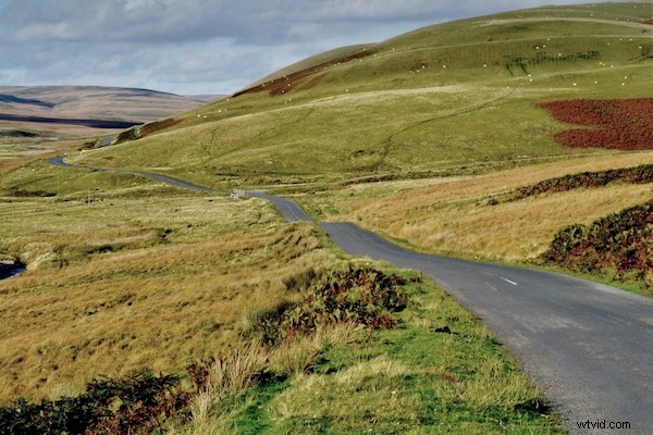 Master Leading Lines: Create Stunning, Impactful Photos with Expert Composition Tips