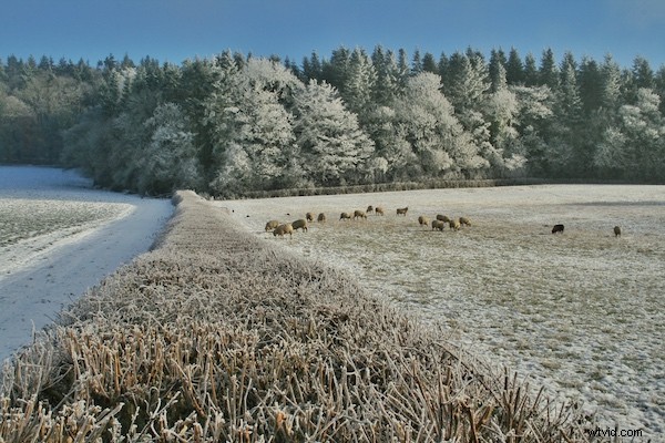 Master Leading Lines: Create Stunning, Impactful Photos with Expert Composition Tips