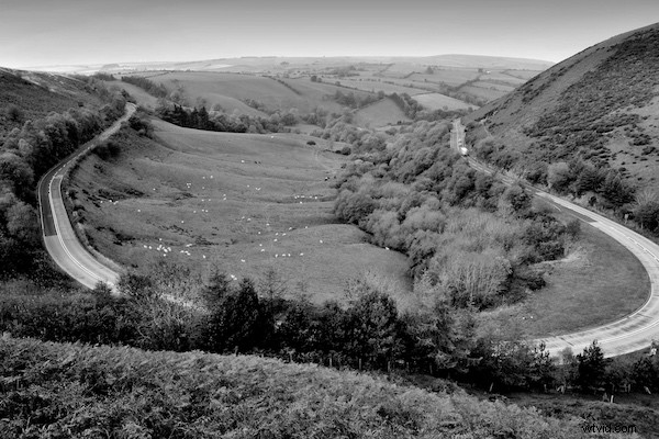 Master Leading Lines: Create Stunning, Impactful Photos with Expert Composition Tips