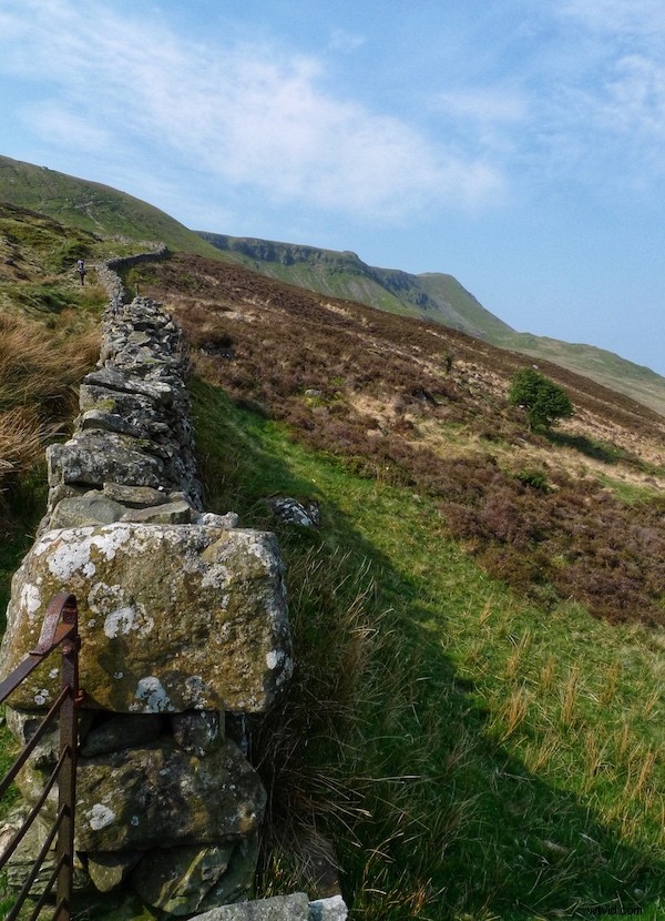 Master Leading Lines: Create Stunning, Impactful Photos with Expert Composition Tips