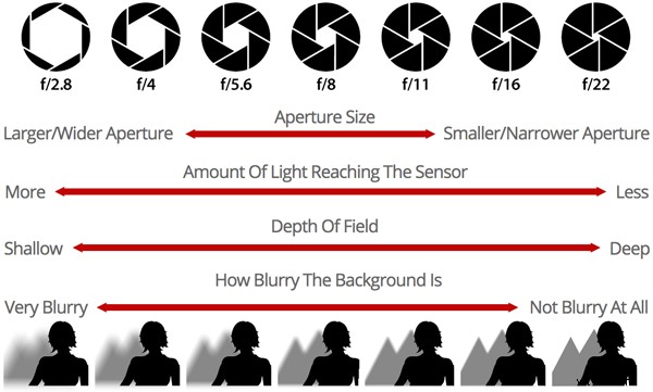 Master Aperture: Control Depth of Field for Stunning Professional Photos