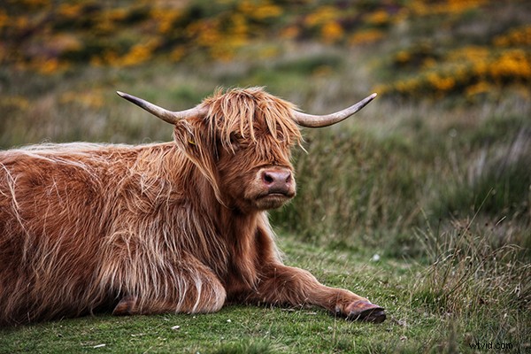 Master Aperture: Control Depth of Field for Stunning Professional Photos