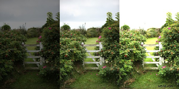 Mastering ISO: Capture Stunning Low-Light Photos with Confidence