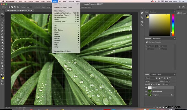 5 Must-Have Photo Editing Tools to Transform Dull Images into Stunning Shots