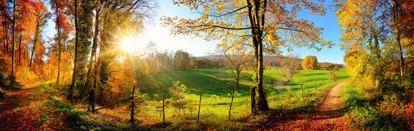 Master Panoramic Photography: Shoot Stunning, Distortion-Free Landscape Images