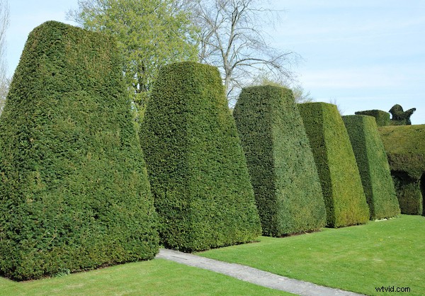 Master Graphic Design Elements: 6 Ways to Elevate Your Photos with Shape, Line, Color & More