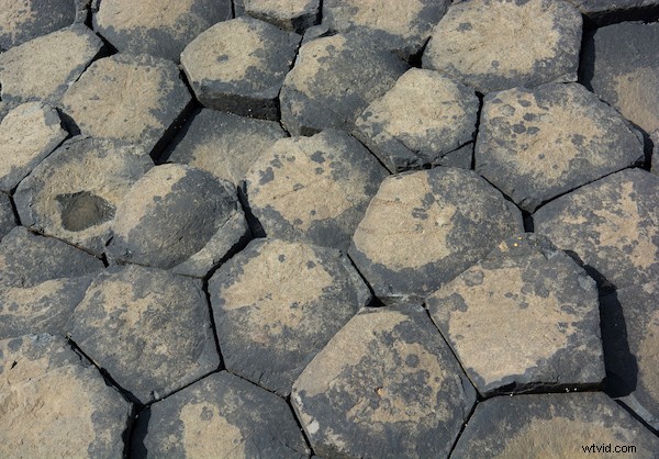 Master Graphic Design Elements: 6 Ways to Elevate Your Photos with Shape, Line, Color & More