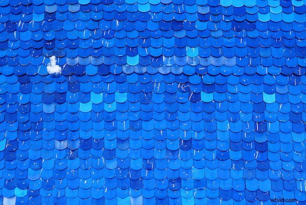 Master Graphic Design Elements: 6 Ways to Elevate Your Photos with Shape, Line, Color & More