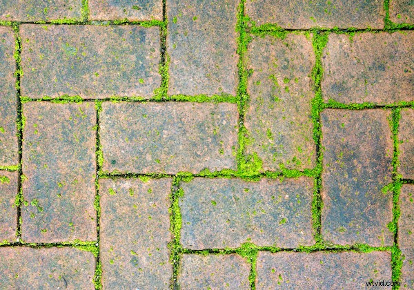 Master Graphic Design Elements: 6 Ways to Elevate Your Photos with Shape, Line, Color & More