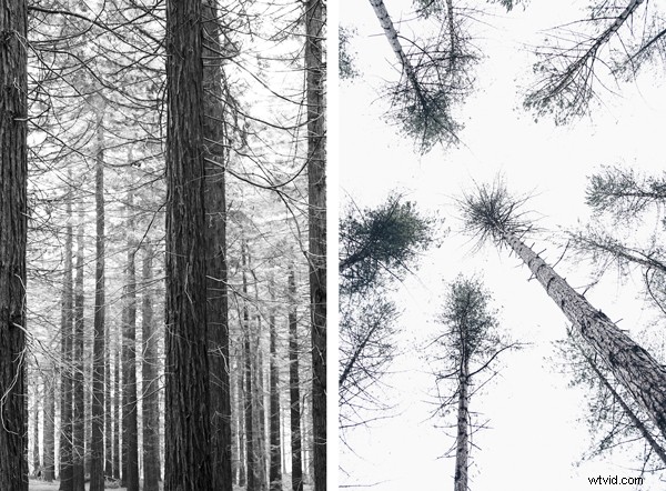 Master Perspective Photography: 6 Expert Tips for Stunning Shots