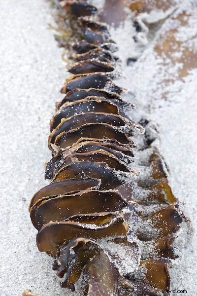 Master Perspective Photography: 6 Expert Tips for Stunning Shots