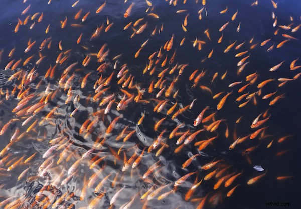 7 Expert Tips for Capturing Stunning Patterns in Photography