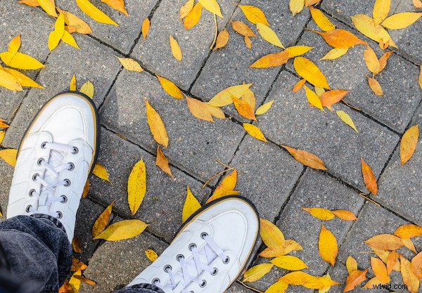 7 Expert Tips for Capturing Stunning Patterns in Photography