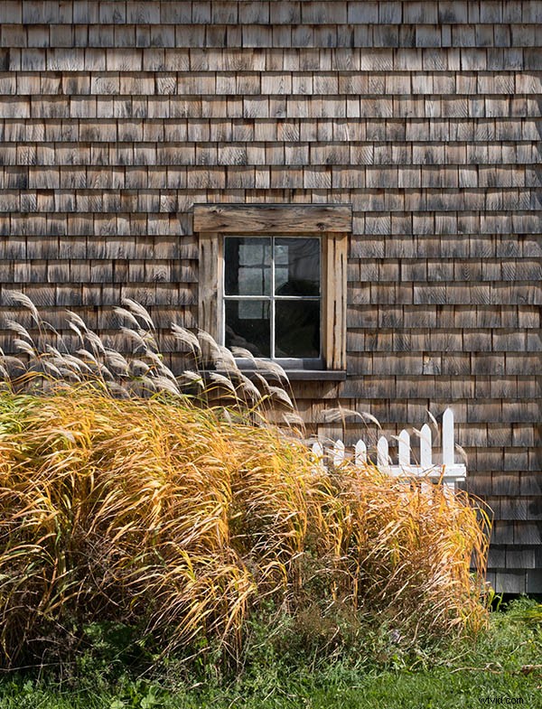 7 Expert Tips for Capturing Stunning Patterns in Photography