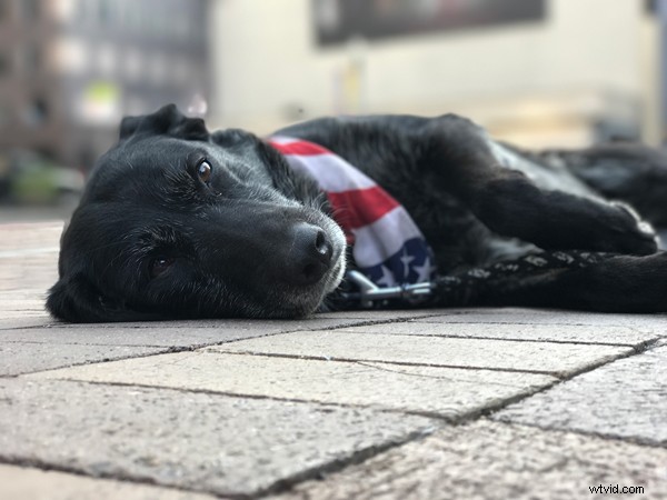 7 Proven Tips to Capture Stunning Photos Like a Pro