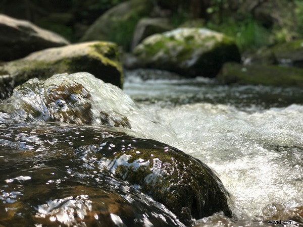 7 Proven Tips to Capture Stunning Photos Like a Pro