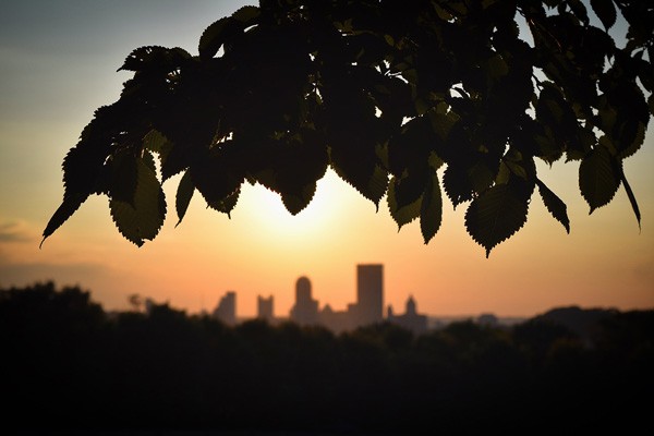 7 Proven Tips to Capture Stunning Photos Like a Pro