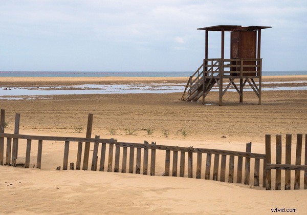 Master Photography Composition: 9 Inspiring Examples of Combining Techniques