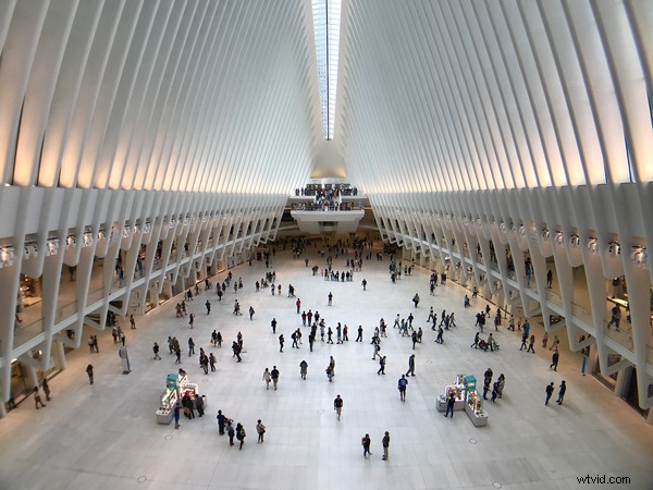 7 Proven Tips to Capture Stunning Photos Like a Pro