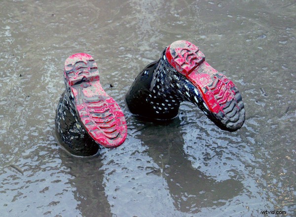 10 Proven Tips for Capturing Razor-Sharp Photos with Any Camera