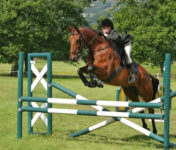 10 Proven Tips for Capturing Razor-Sharp Photos with Any Camera