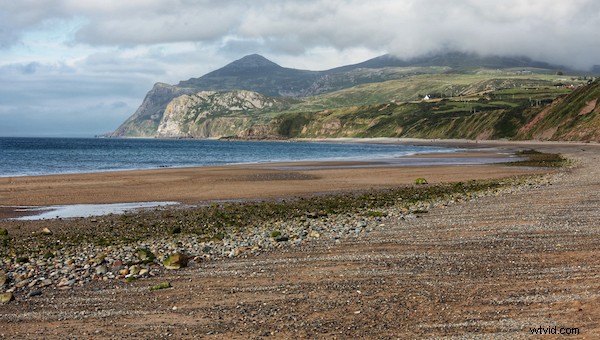 10 Proven Tips for Capturing Razor-Sharp Photos with Any Camera