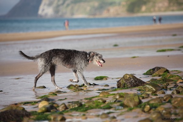 10 Proven Tips for Capturing Razor-Sharp Photos with Any Camera