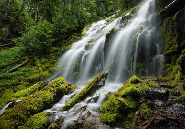 10 Proven Tips for Capturing Razor-Sharp Photos with Any Camera