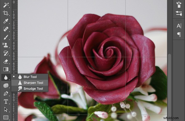 10 Proven Tips for Capturing Razor-Sharp Photos with Any Camera