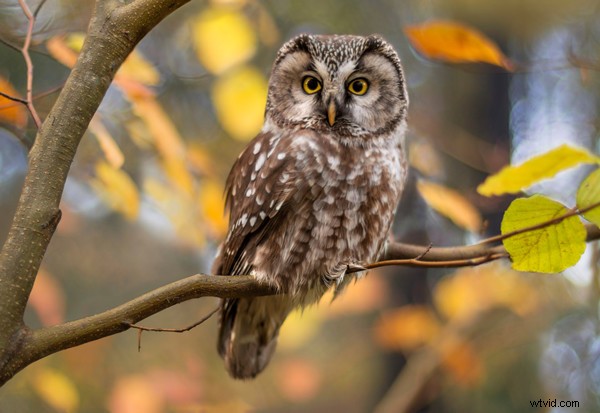 Eliminate Motion Blur: Remote Shutter Release – Tripod Photography Essential