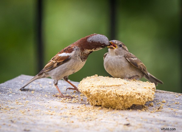 Eliminate Motion Blur: Remote Shutter Release – Tripod Photography Essential