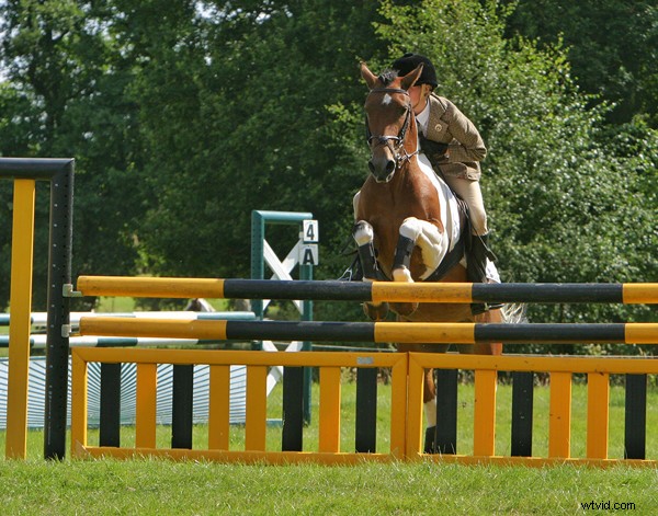 15 Expert Tips for Capturing Stunning Sports Photography