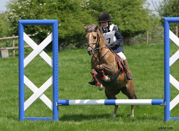 15 Expert Tips for Capturing Stunning Sports Photography