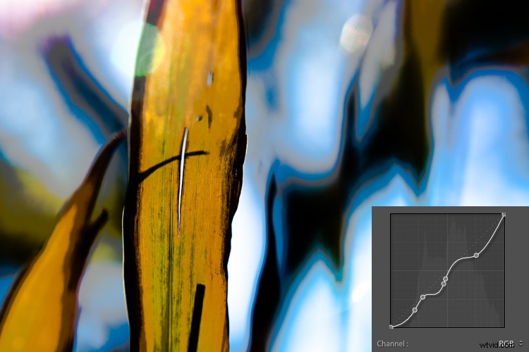 Master Lightroom s Tone Curve: Your Complete Hands-On Guide