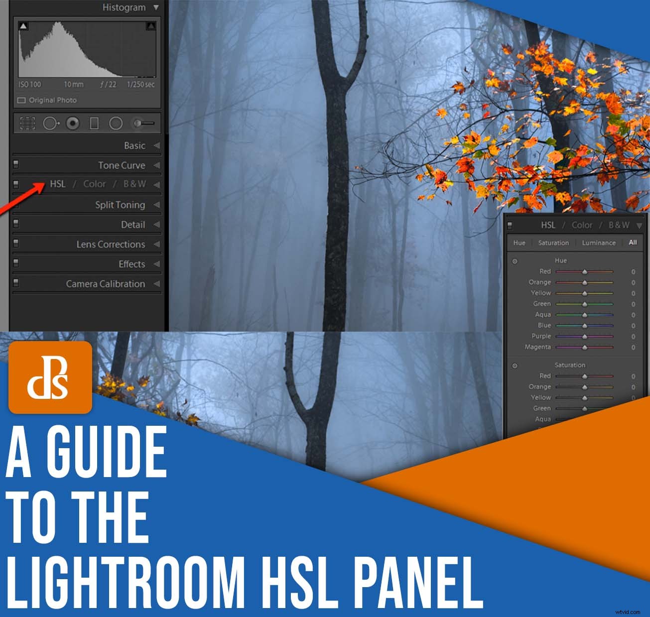 Master Lightroom HSL Panel: Pro Tips for Hue, Saturation & Luminance Edits