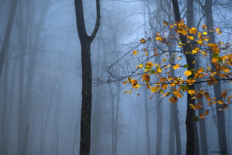 Master Lightroom HSL Panel: Pro Tips for Hue, Saturation & Luminance Edits