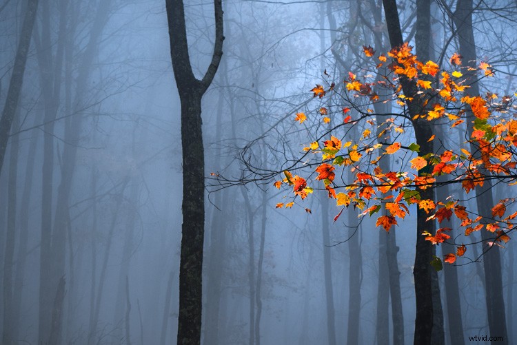 Master Lightroom HSL Panel: Pro Tips for Hue, Saturation & Luminance Edits