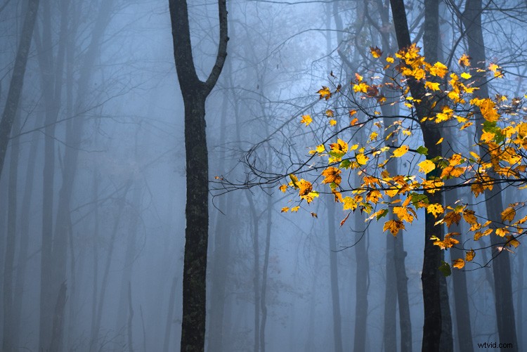 Master Lightroom HSL Panel: Pro Tips for Hue, Saturation & Luminance Edits