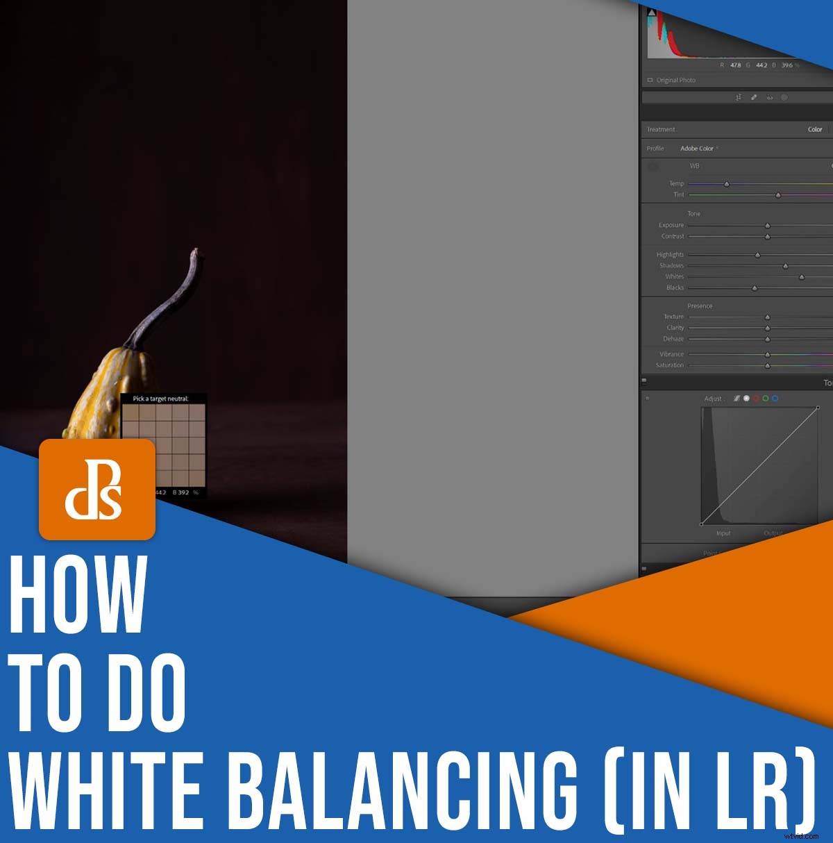 Master White Balance in Lightroom: Ultimate Step-by-Step Guide