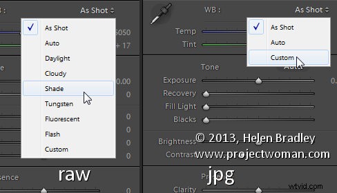Master White Balance in Lightroom: Ultimate Step-by-Step Guide